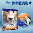  白獅 white lion (藍光25G)