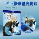  黃金羅盤 The Golden Compass (2007) 藍光25G