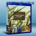  昆蟲世界 Insect Planet 藍光25G