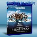   這些年，我們一起追逐金錢 Terraferma (2011) 藍光BD-25G
