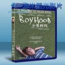  年少時代 Boyhood (2014) 藍光25G