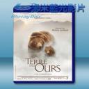   棕熊之國 Terre des Ours (2014)  藍光25G