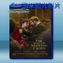   遠離塵囂：珍愛相隨 Far from the Madding Crowd (2015) 藍光25G