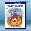   現實之舞 La danza de la realidad (2013) 藍光25G