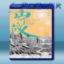   山河故人 (2015) 藍光影片25G