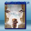   為了與你相遇 A Dog's Purpose (2017) 藍光25G