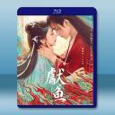 獻魚 (2025)【TV全集+幕後花絮】藍光2...