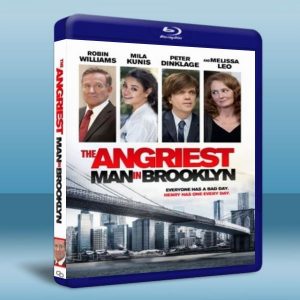 布魯克林最憤怒的人 The Angriest Man in Brooklyn (2014) 藍光25G