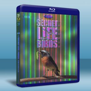 鳥類秘聞 Secret Life of Birds 藍光BD-25G