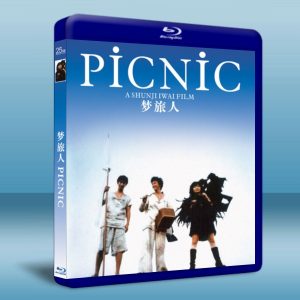 岩井俊二作品:戀旅人 Picnic (1993) 25G藍光
