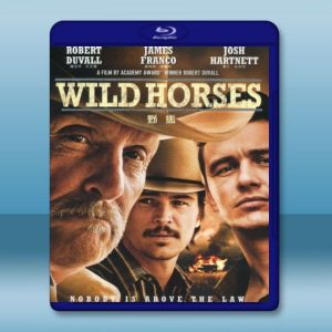 野馬 Wild Horses (2015) 藍光25G