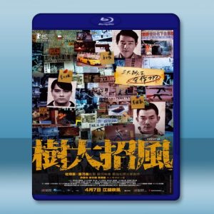 樹大招風 (2015) 藍光影片25G