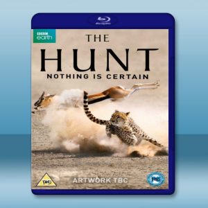 獵捕 The Hunt (3碟) 藍光影片25G