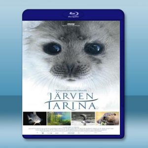 湖泊的傳說 Järven tarina/Tale of a Lake (2016) 藍光影片25G