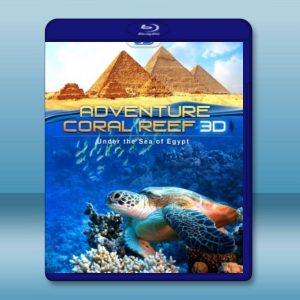 (3D+2D) 埃及海底珊瑚礁 探險之旅 Adventure Coral Reef Under The Sea Of Egypt 藍光影片25G