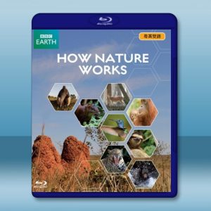 BBC 大自然法則/自然的運作 How Nature Works 藍光影片25G