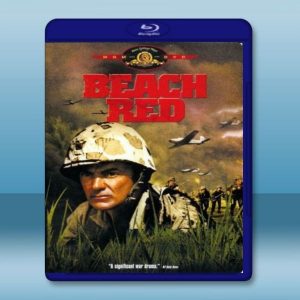 搶灘總攻擊 Beach Red (1967) 藍光影片25G
