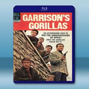 加里森敢死隊 Garrison's Gorillas (1967) 藍光25G