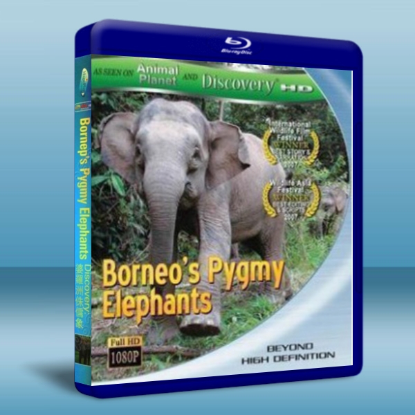 婆羅洲侏儒象 Borneo's Pygmy Elephants 藍光BD-25G