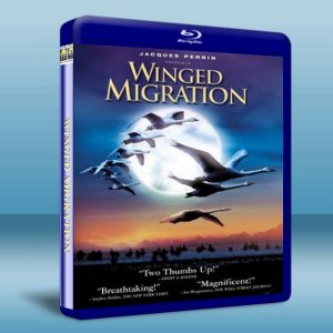 鳥的遷徙鳥與夢飛行 Winged Migration 藍光BD-25G