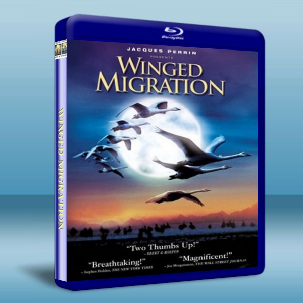 鳥的遷徙鳥與夢飛行 Winged Migration 藍光BD-25G