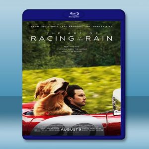 我在雨中等你 The Art of Racing in the Rain (2019) 藍光25G