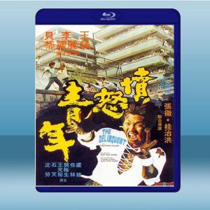 憤怒青年 (樊梅生/李麗麗) (1973) 藍光25G