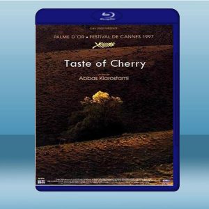 櫻桃的滋味 Taste of Cherry (1997) 藍光25G