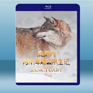 庇護所：阿爾卑斯山求生記 The Sanctuary: Survival Stories of the Alps (2020) 藍光25G