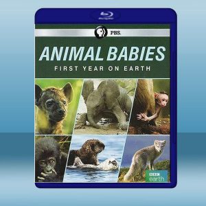 萌寶出生第一年 Animal Babies: First Year on Earth (2019) 藍光25G