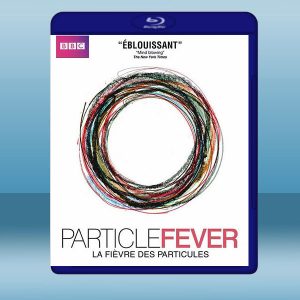 粒子狂熱 Particle Fever (2碟) (2013) 藍光25G