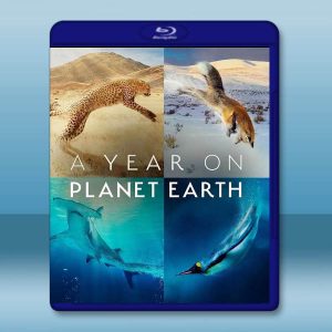地球上的一年 A Year on Planet Earth(2022)藍光25G 2碟